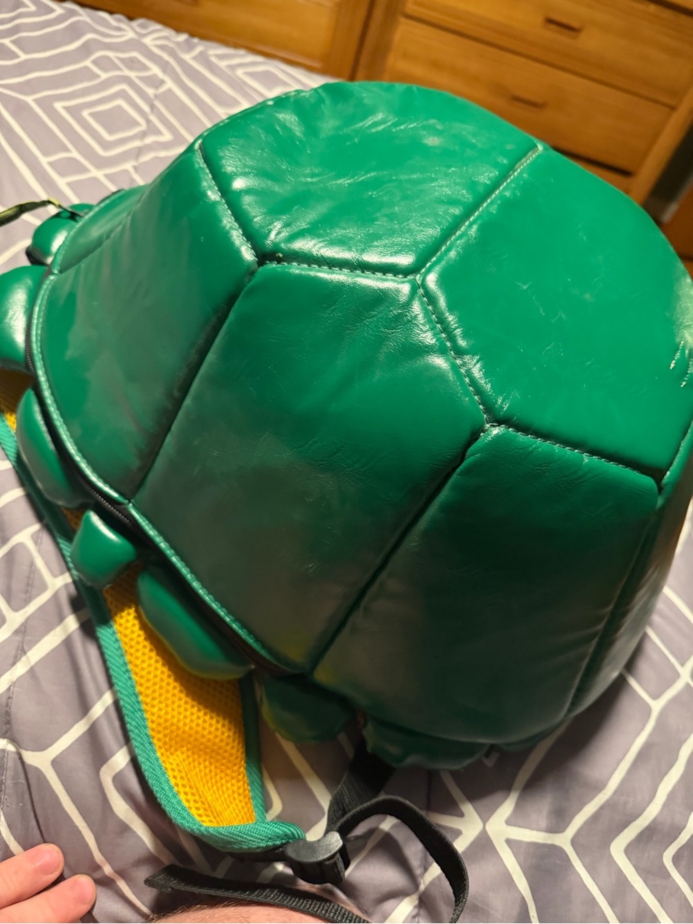 Teenage Mutant Ninja Turtles Shell Backpack